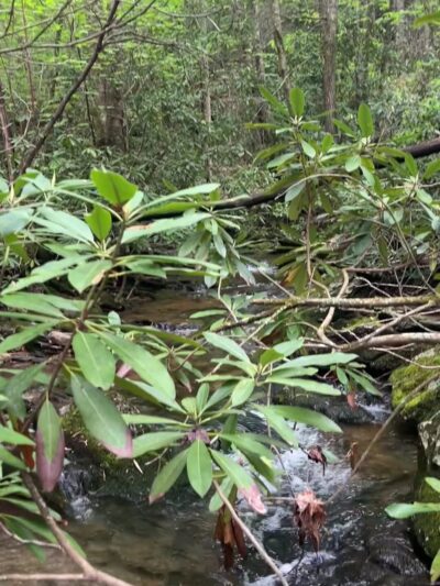 SR 612 Trailhead - Galax, VA