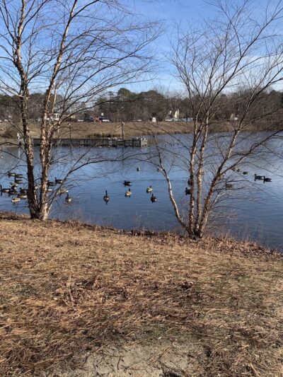 Patriot Lake Park - Galloway, NJ
