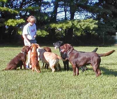 Lucky Dog Lodge - Galva, IL
