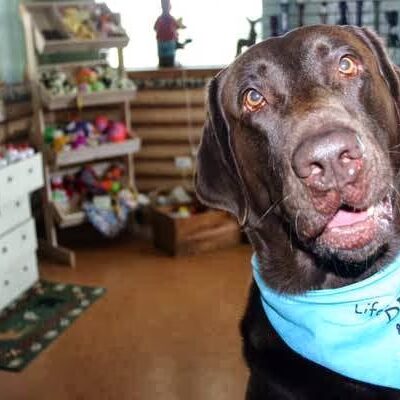 Lucky Dog Lodge - Galva, IL