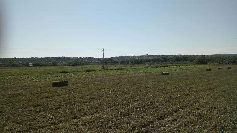 Cottonwood Park - Ganado, AZ