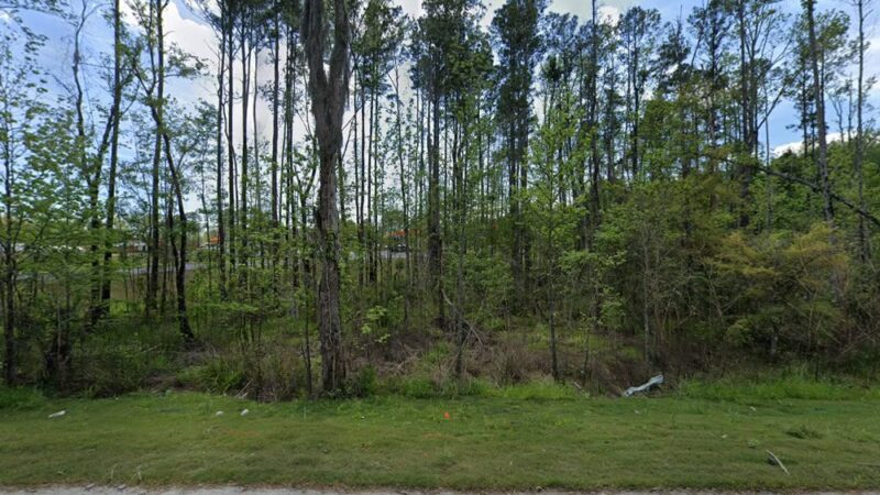 Dog Park at Love's Travel Stops - Garden City, GA