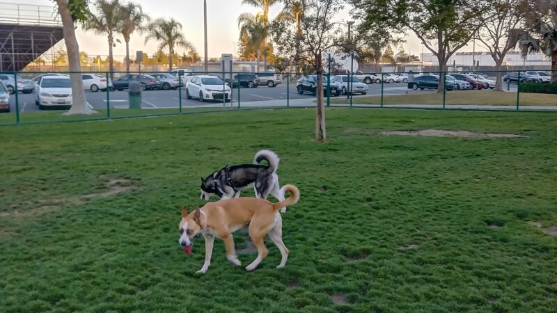 Dog Park | Garden Grove - Garden Grove, CA