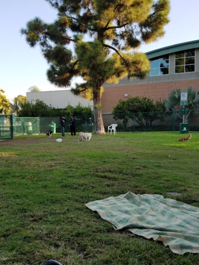 Dog Park | Garden Grove - Garden Grove, CA