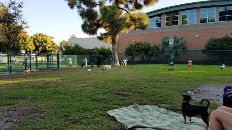 Dog Park | Garden Grove - Garden Grove, CA