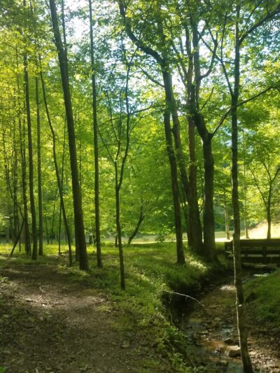 Elkhorn Park - Garrett, KY
