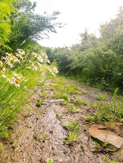 Elkhorn Park - Garrett, KY