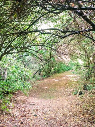 Elkhorn Park - Garrett, KY