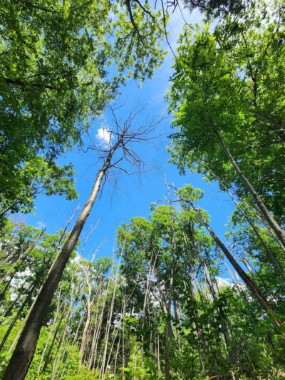 Manitou Nature Preserve public parking - Garrison, NY