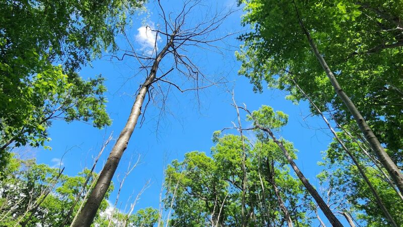 Manitou Nature Preserve public parking - Garrison, NY