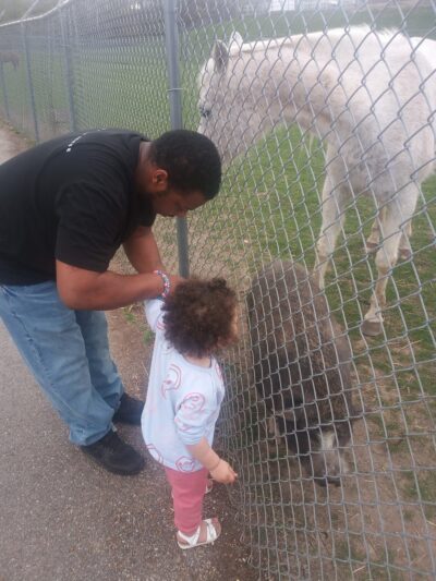 Gas City Dog Park - Gas City, IN