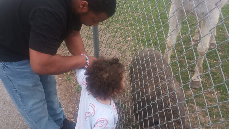 Gas City Dog Park - Gas City, IN