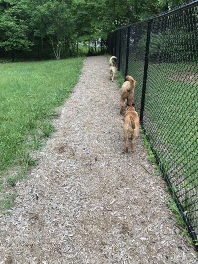 Gatlinburg Dog Park - Gatlinburg, TN