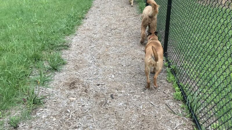 Gatlinburg Dog Park - Gatlinburg, TN