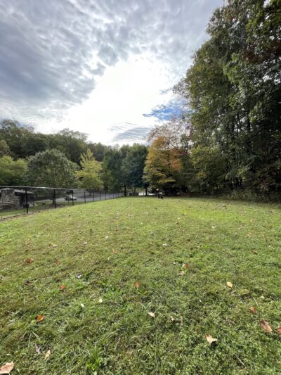 Gatlinburg Dog Park - Gatlinburg, TN