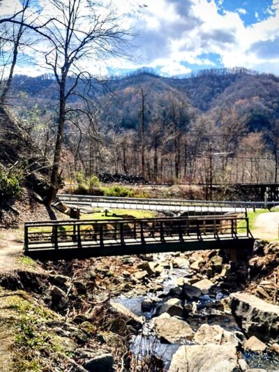 Cathedral Falls - Gauley Bridge, WV