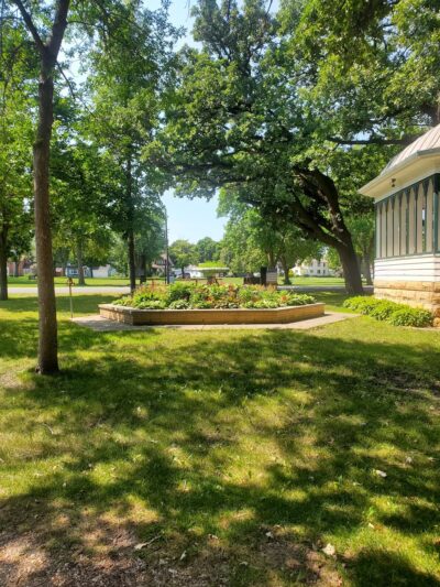 Oak tree park - Gaylord, MN