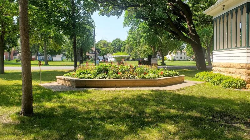 Oak tree park - Gaylord, MN