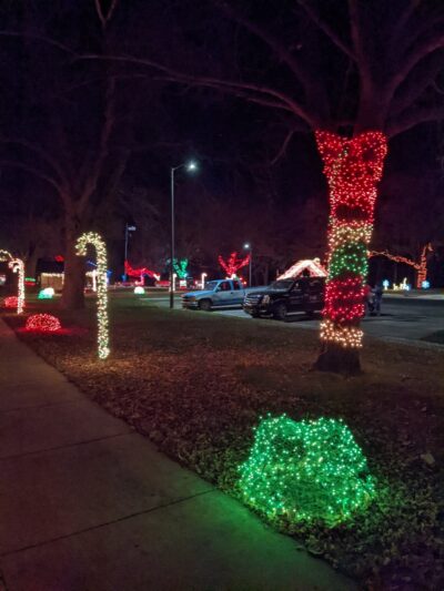 Oak tree park - Gaylord, MN