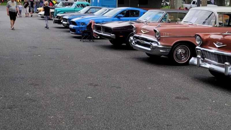 Oak tree park - Gaylord, MN