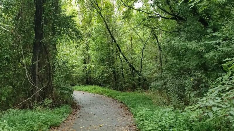 Flint Creek Nature Area - Gentry, AR