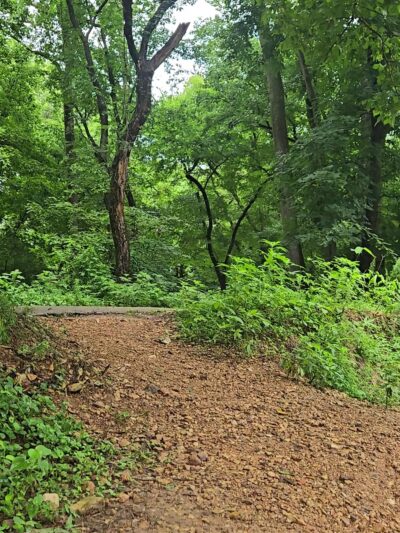 Flint Creek Nature Area - Gentry, AR