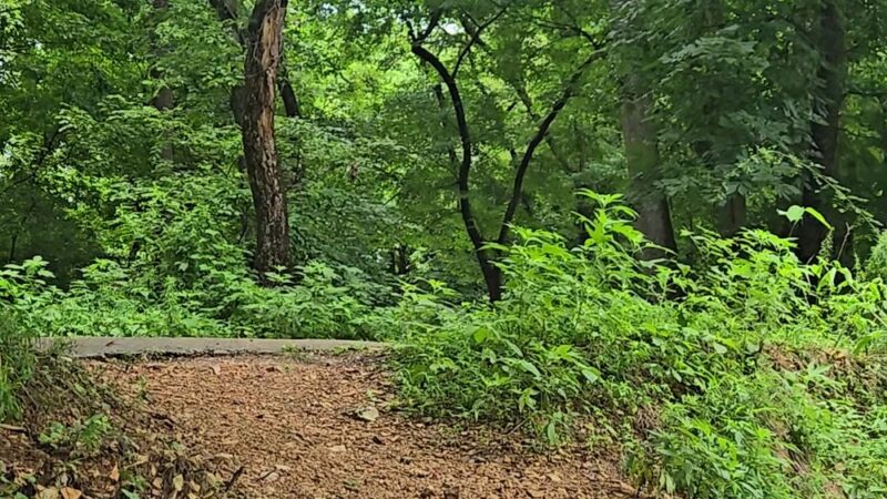 Flint Creek Nature Area - Gentry, AR