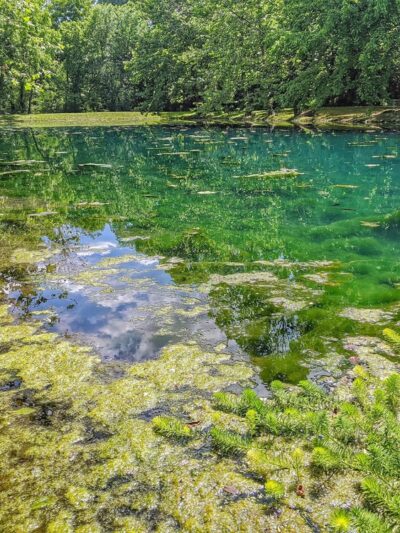 Flint Creek Nature Area - Gentry, AR