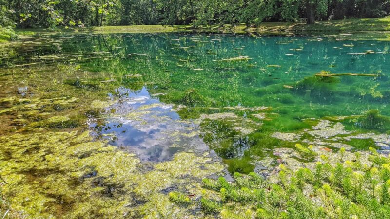 Flint Creek Nature Area - Gentry, AR