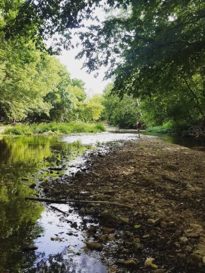 Flint Creek Nature Area - Gentry, AR