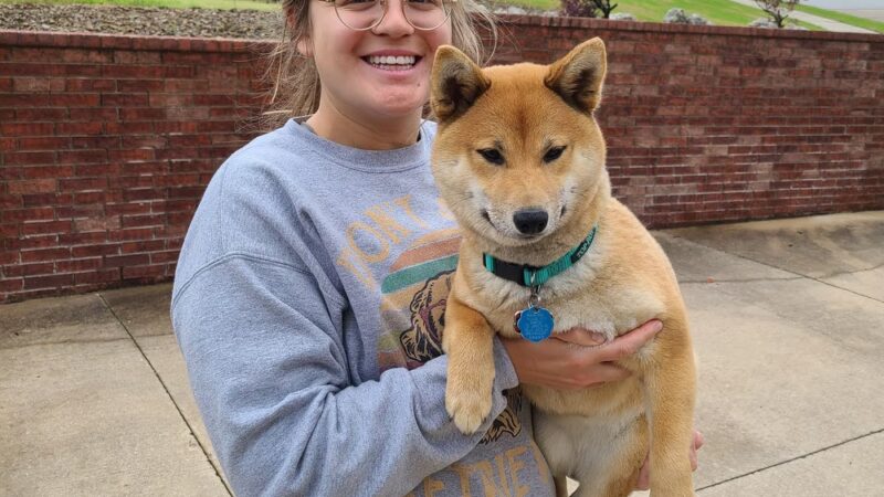 Vital K9 Training & Boarding - Gentry, AR