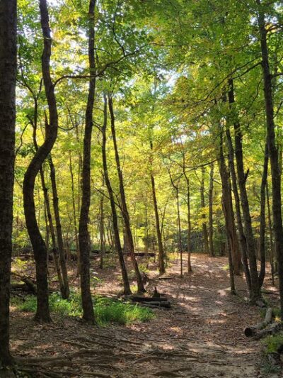 Garry E Cavan Park - Georgetown, IN