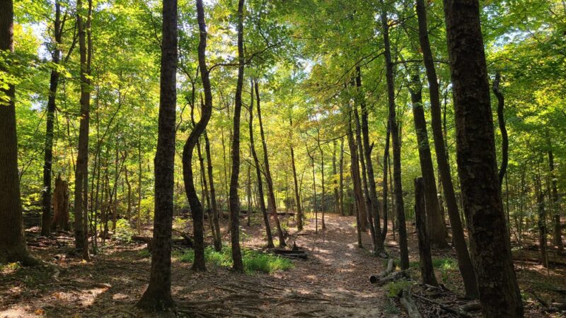 Garry E Cavan Park - Georgetown, IN