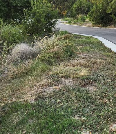 Northpoint Dog Park - Georgetown, TX