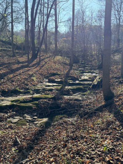 Melvin and Vickie Jensen Nature Preserve and Trails - Georgetown Township, IN