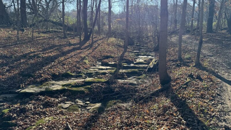 Melvin and Vickie Jensen Nature Preserve and Trails - Georgetown Township, IN