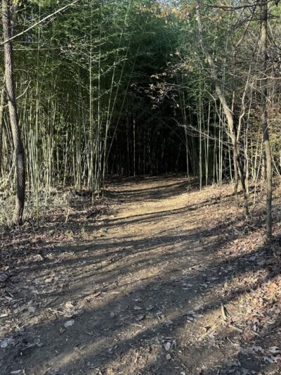Melvin and Vickie Jensen Nature Preserve and Trails - Georgetown Township, IN