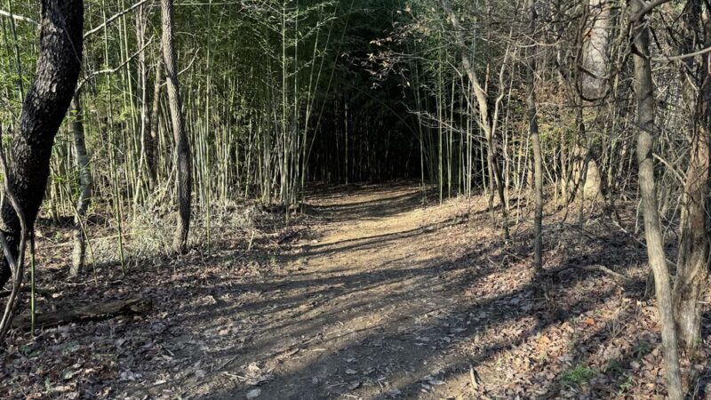 Melvin and Vickie Jensen Nature Preserve and Trails - Georgetown Township, IN