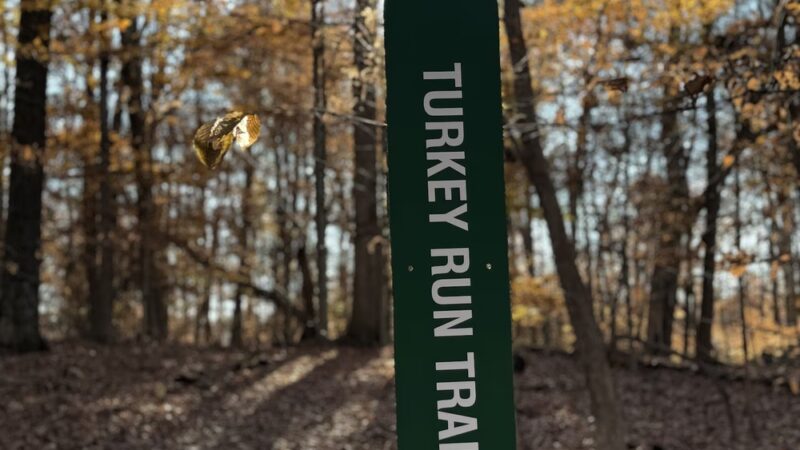 Melvin and Vickie Jensen Nature Preserve and Trails - Georgetown Township, IN