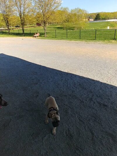 Ridge Road Recreational Park - Germantown, MD