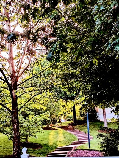 Kingsview Local Park - Germantown, MD