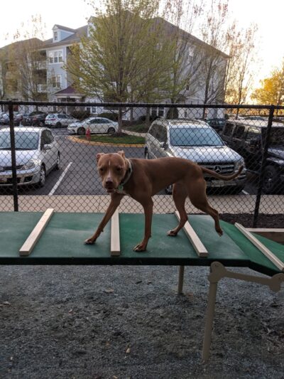 Kingsview Local Park - Germantown, MD