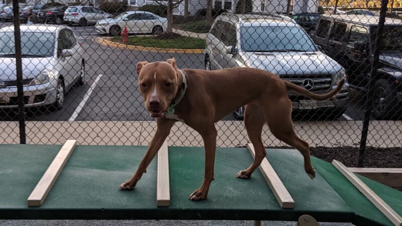 Kingsview Local Park - Germantown, MD