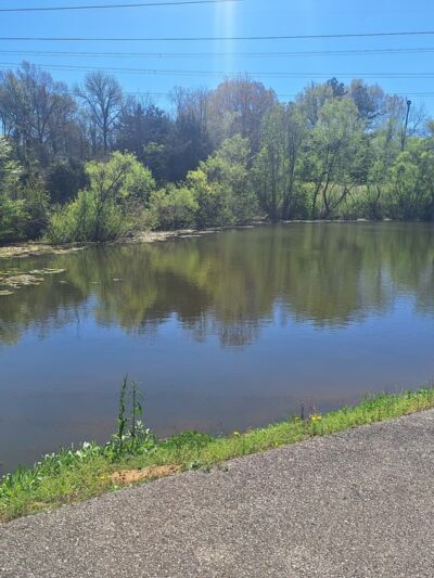 Forgey Park - Germantown, TN