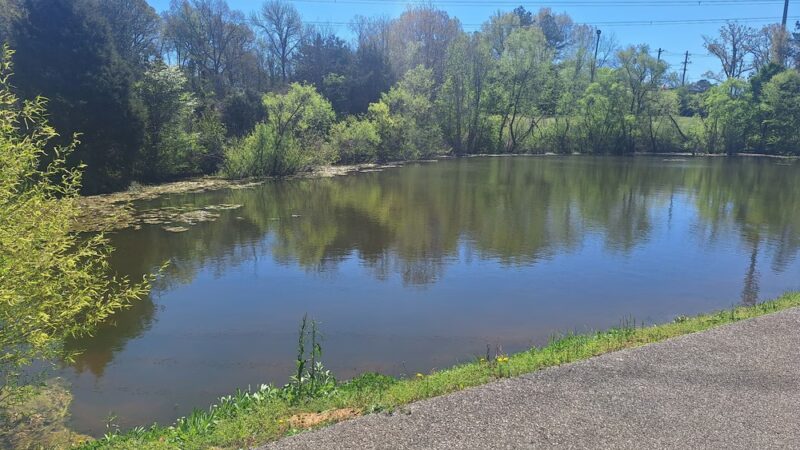 Forgey Park - Germantown, TN