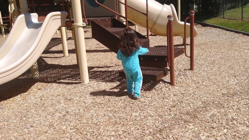 Forgey Park - Germantown, TN