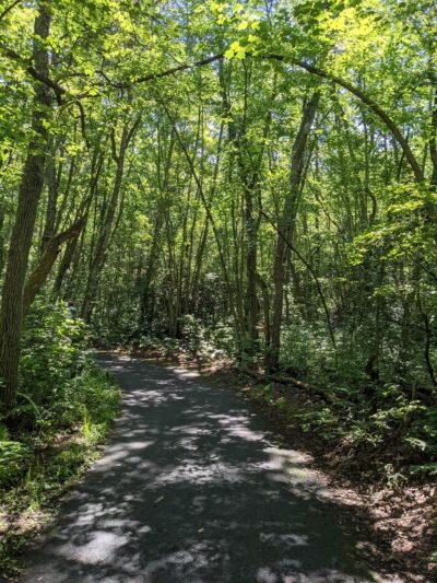 Pole Hill Park / Blueberry Hill Conservation Area - Gibbsboro, NJ