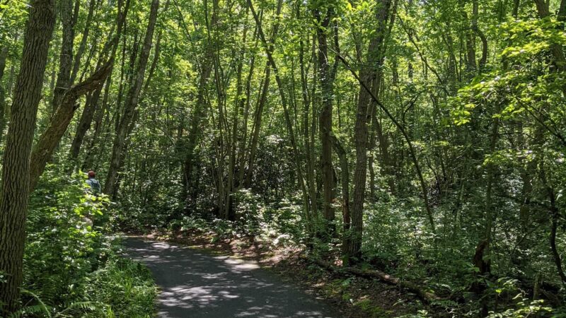 Pole Hill Park / Blueberry Hill Conservation Area - Gibbsboro, NJ