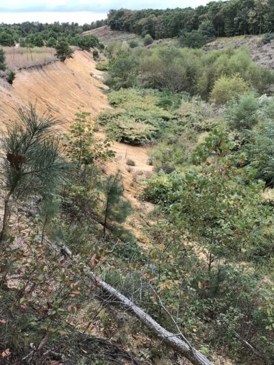 Pole Hill Park / Blueberry Hill Conservation Area - Gibbsboro, NJ