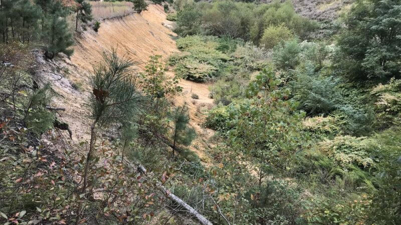 Pole Hill Park / Blueberry Hill Conservation Area - Gibbsboro, NJ